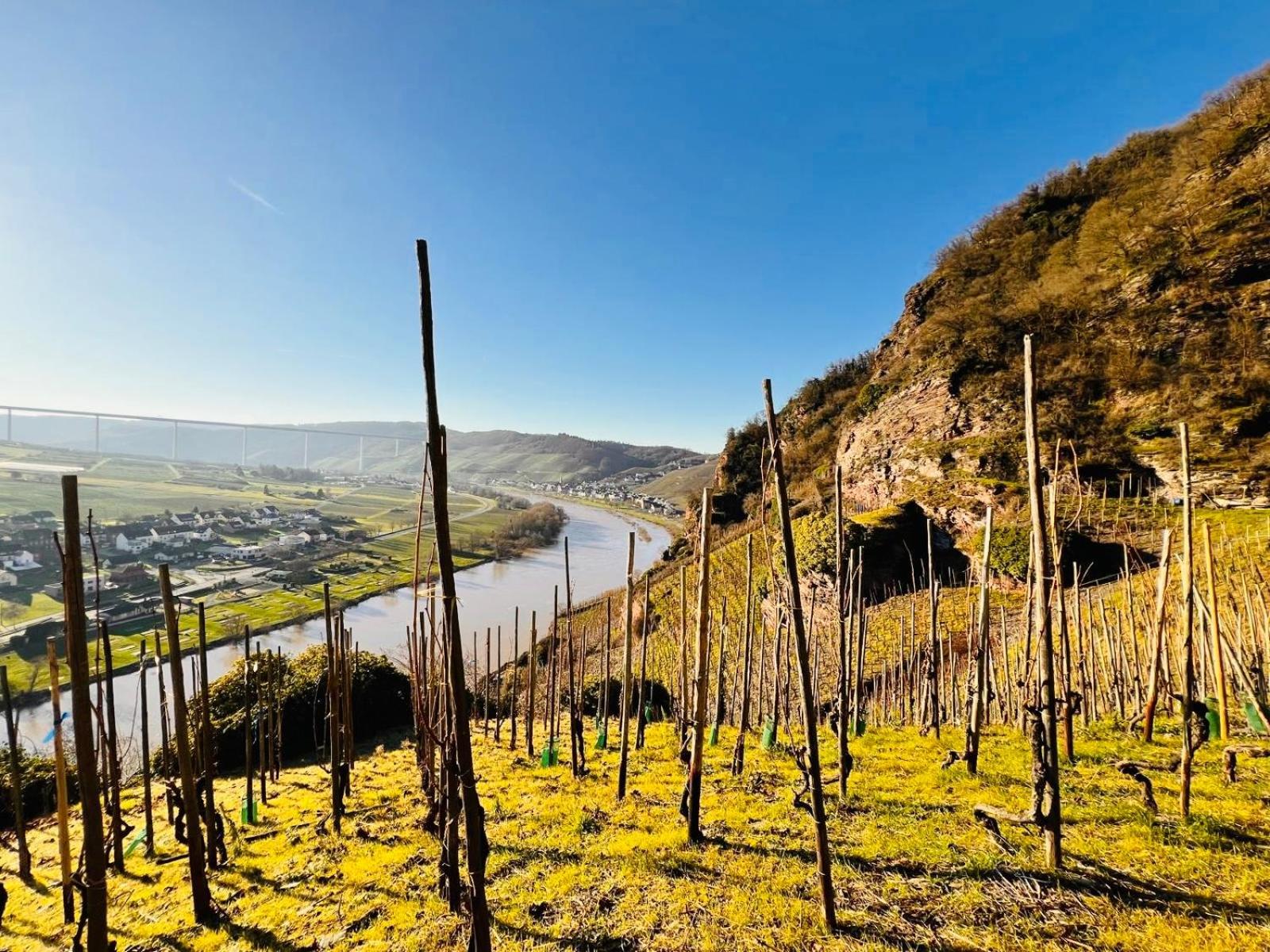 Gut Foersterlay - Exklusive Boutique Apartments Im Historischen Winzerhaus Direkt An Der Mosel Lösnich Esterno foto