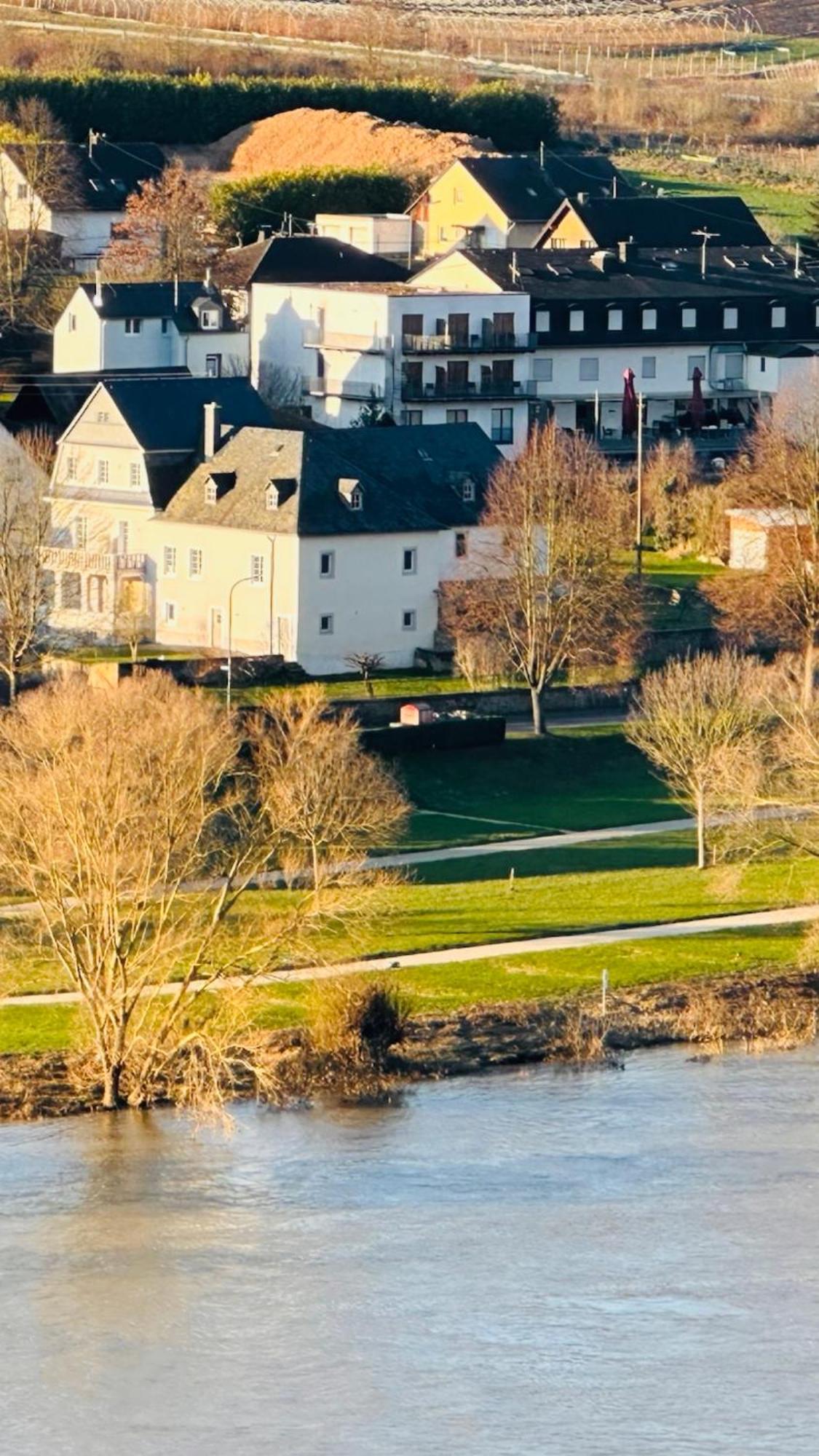 Gut Foersterlay - Exklusive Boutique Apartments Im Historischen Winzerhaus Direkt An Der Mosel Lösnich Esterno foto