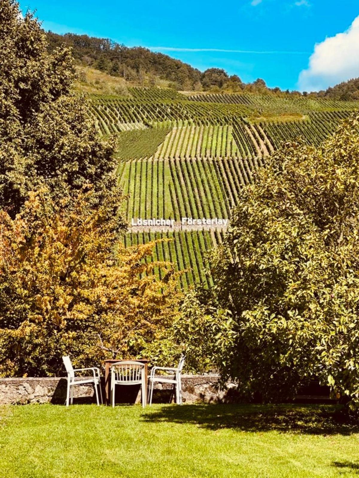 Gut Foersterlay - Exklusive Boutique Apartments Im Historischen Winzerhaus Direkt An Der Mosel Lösnich Esterno foto